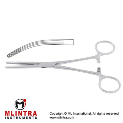 Rochester-Carmalt Haemostatic Forceps Curved Stainless Steel, 20 cm - 8" 